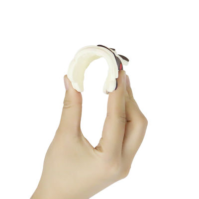 Ζωηρόχρωμη εξατομικευμένη μωρό σιλικόνη Teether με τη μορφή της Dino αλόγων προβάτων